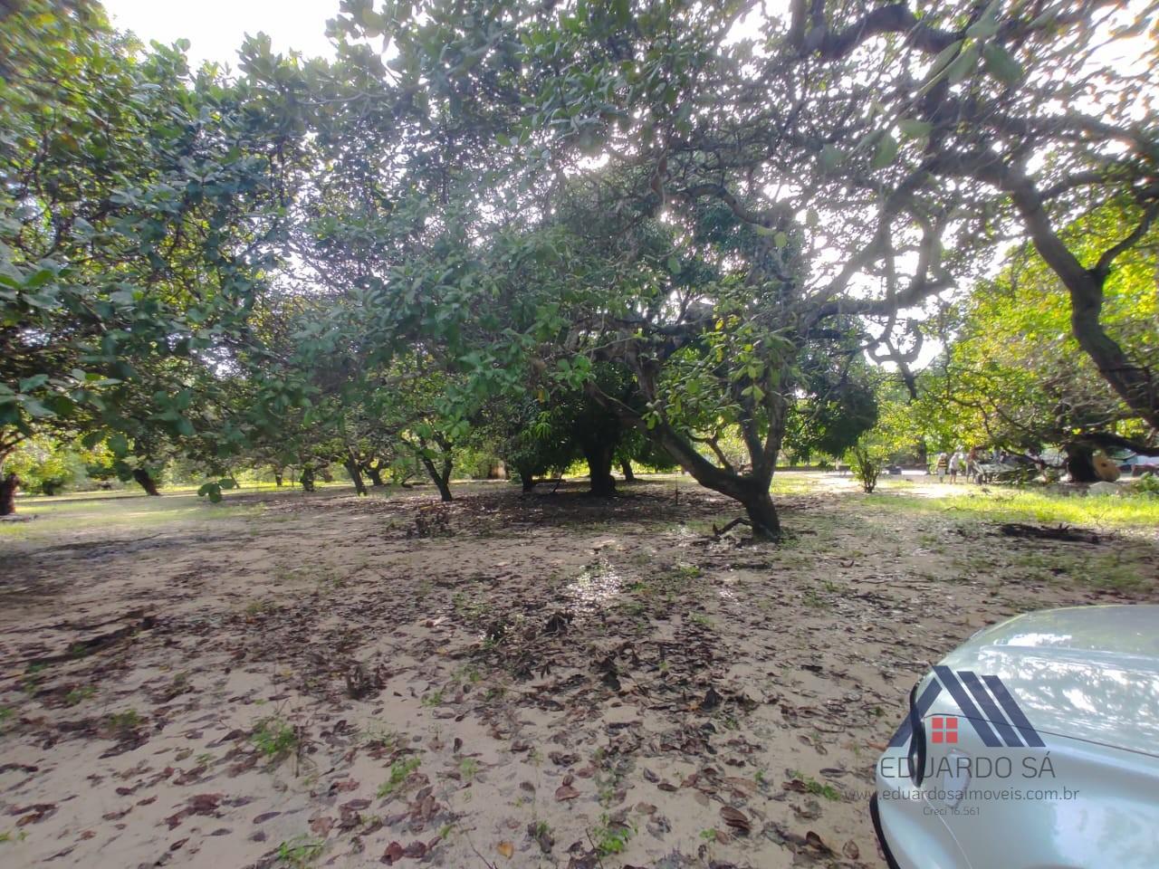 Rural à venda com 13000m² de terreno no Jacundá, Aquiraz (CE) — foto 17 de 21