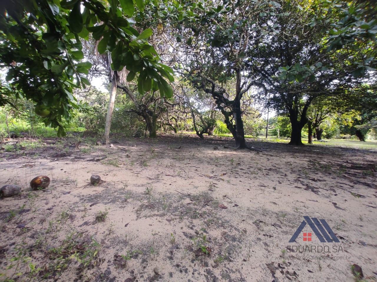 Rural à venda com 13000m² de terreno no Jacundá, Aquiraz (CE) — foto 18 de 21