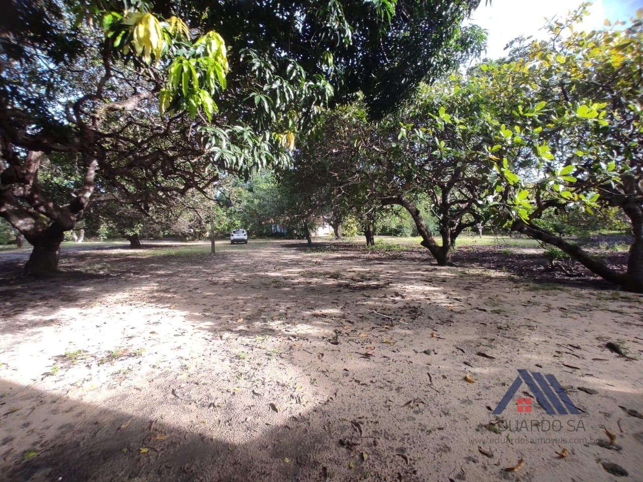 Rural à venda com 13000m² de terreno no Jacundá, Aquiraz (CE) — foto 19 de 21