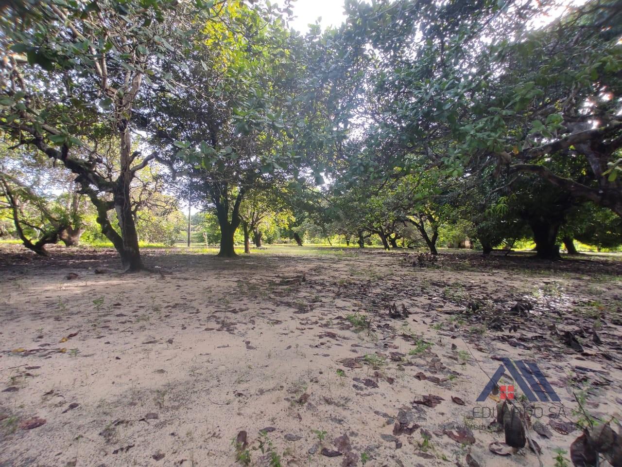 Rural à venda com 13000m² de terreno no Jacundá, Aquiraz (CE) — foto 20 de 21